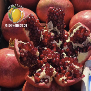 석류 5kg 8~25과