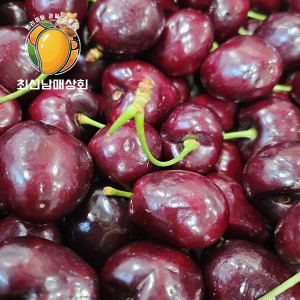 체리 9kg 5size