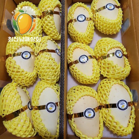 프리미엄 골드망고 대과 10~12과 5kg