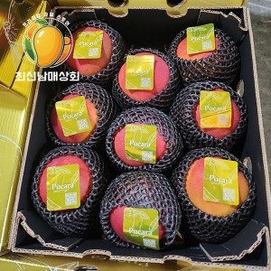 프리미엄 애플망고 선물세트 (9과/대과)