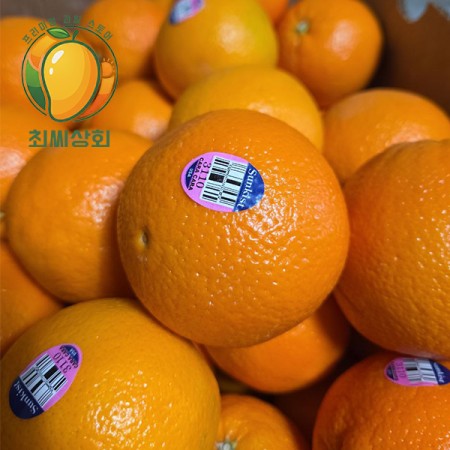 카라카라 오렌지 36과 8kg